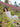 Pret 3Pc Printed Cambric Suit - EWTKP5-81714-3P