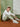 Boy's White Sweatshirt - EBTSS24-010