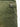 Boy's Army Green Trouser - EBBT21-023