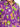 Girl's Purple Fusion Top - EGTFT23-100009