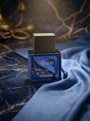 Treasure Women's Perfume 100ML - EBWF-TREASURE