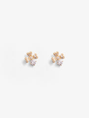 Floral Star Earrings - EAWE5-112