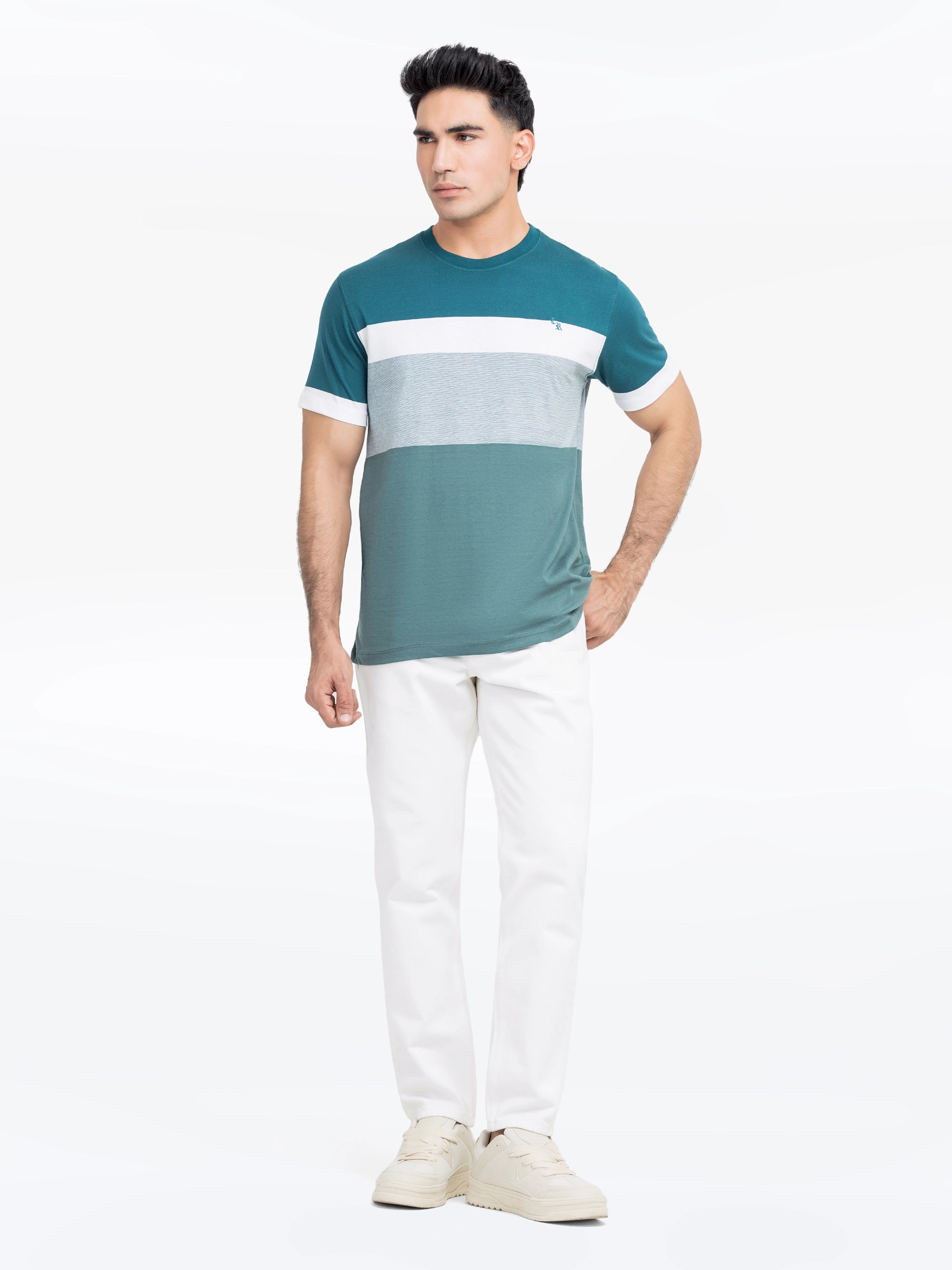 Men's Sea Green Graphic Tee - EMTGT24-013