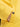 Boy's Yellow Jacket - EBTJP23-001