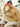 Men's Beige Kurta - EMTKC23-110