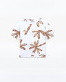 Boy's Off White T-Shirt - EBTTS24-043