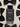 Men's Fragrance 100ML - EBMF-Imperium