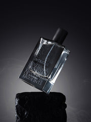 Intrigue Men's Perfume 100ML - EBMF-INTRIGUE