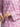 EWU24A1-28574-3P Unstitched Pink Printed Lawn 3 Piece