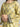 EWU24A1-28580-3P Unstitched Light Gold Printed Lawn 3 Piece