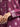 EWU24A1-29090-3P Unstitched Dark Magenta Printed Lawn 3 Piece