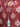 Unstitched Burgundy Printed Khaddar 3 Piece - EWU24A3-27095-3P