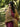 Unstitched Maroon Embroidered Marina Twill 3 Piece - EWU24V14-30213-3P