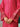 EWU24V3-26752ST Unstitched Deep Pink Embroidered Jacquard 2 Piece - EWU24V3-26752ST