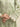 Unstitched Light Green Embroidered Lawn 3 Piece - EWU5V1-31094-3P