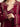 Unstitched Burgundy Embroidered Lawn 3 Piece - EWU5V1-31235-3P