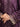 Unstitched Dark Purple Embroidered Jacquard 3 Piece - EWU5V3-31152-3P