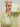 Unstitched Light Green Embroidered Cambric 1 Piece - EWU24V2-28645S