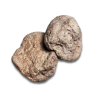 NI 3