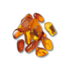NI 3