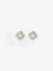 Crystal Drop Earrings - EAWE6-014