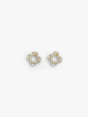 Crystal Drop Earrings - EAWE6-014