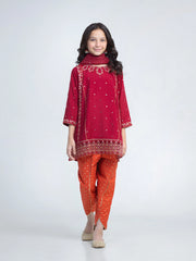 Embroidered Silk Suit - EGTPLED6-50096-3P