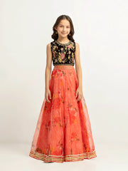 Embroidered Organza Lehenga Suit - EGTPLEP5-50118CL