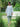 Embroidered Viscose Co-Ord Set - EWTKED6-86181ST