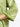 Pret 2Pc Printed Cambric Shirt Trouser - EWTKP5-81663ST