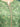 Unstitched Green Printed Khaddar 3 Piece - EWU24M3-086-3P
