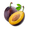 NI 5