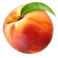 NI 2