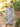 Girl's Beige Frock - EGTF18W-0809