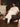 Men's Off White Kurta Shalwar - EMTKS19S-40757