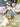 Girl's Grey Frock - EGTF21S-0833