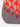 Girl's Orange Pret - EGTKP21-70318