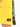Boy's Yellow Shorts - EBBSK22-001