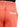Boy's Rust Shorts - EBBSK22-005