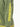 Boy's Olive Sweatshirt - EBTSS22-011