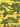 Boy's Multi T-Shirt - EBTTS22-019