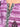 Girl's Purple Pret - EGTKP22-70472