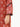 Pret 1Pc Printed Lawn Shirt - EWTKA22-68043