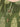 Pret 2Pc Embroidered Jacquard Shirt Trouser - EWTKE22-67977 (2-PCS)