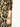 Pret 1Pc Printed Lawn Shirt - EWTKP22-68396