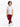 Boy's Maroon Chino Pant - EBBCP23-031