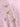 Girl's Pink & White Co-Ord Set - EGTCS23-003