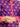 Girl's Purple Pret - EGTKP23-70426ST